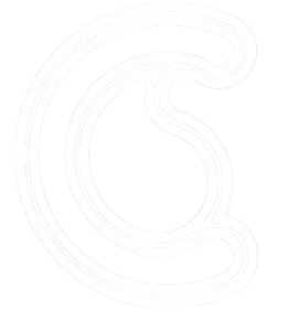 CCS Foundation Logo